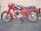 Ducati 125T / TV